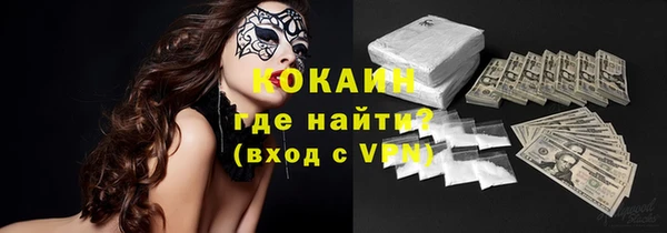 твердый Арсеньев