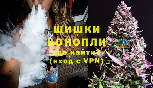 твердый Арсеньев