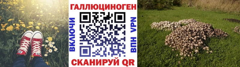 Псилоцибиновые грибы Psilocybine cubensis  где купить наркоту  Коломна 