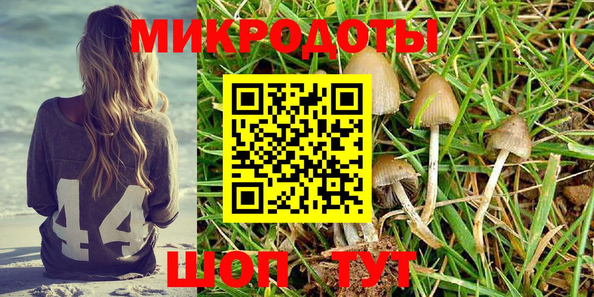 Псилоцибиновые грибы Magic Shrooms Коломна